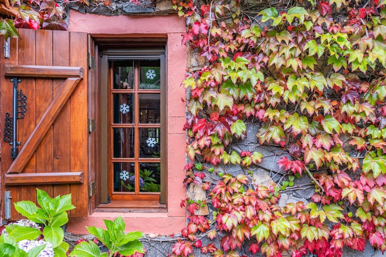 סנטנה Villa Achada Da Mouca By Madeira Sun Travel מראה חיצוני תמונה